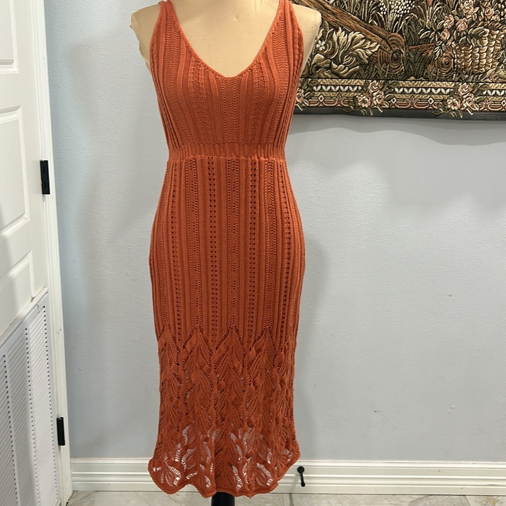 Petal & Pup Terracotta Midi Dress - Picture 3 of 14